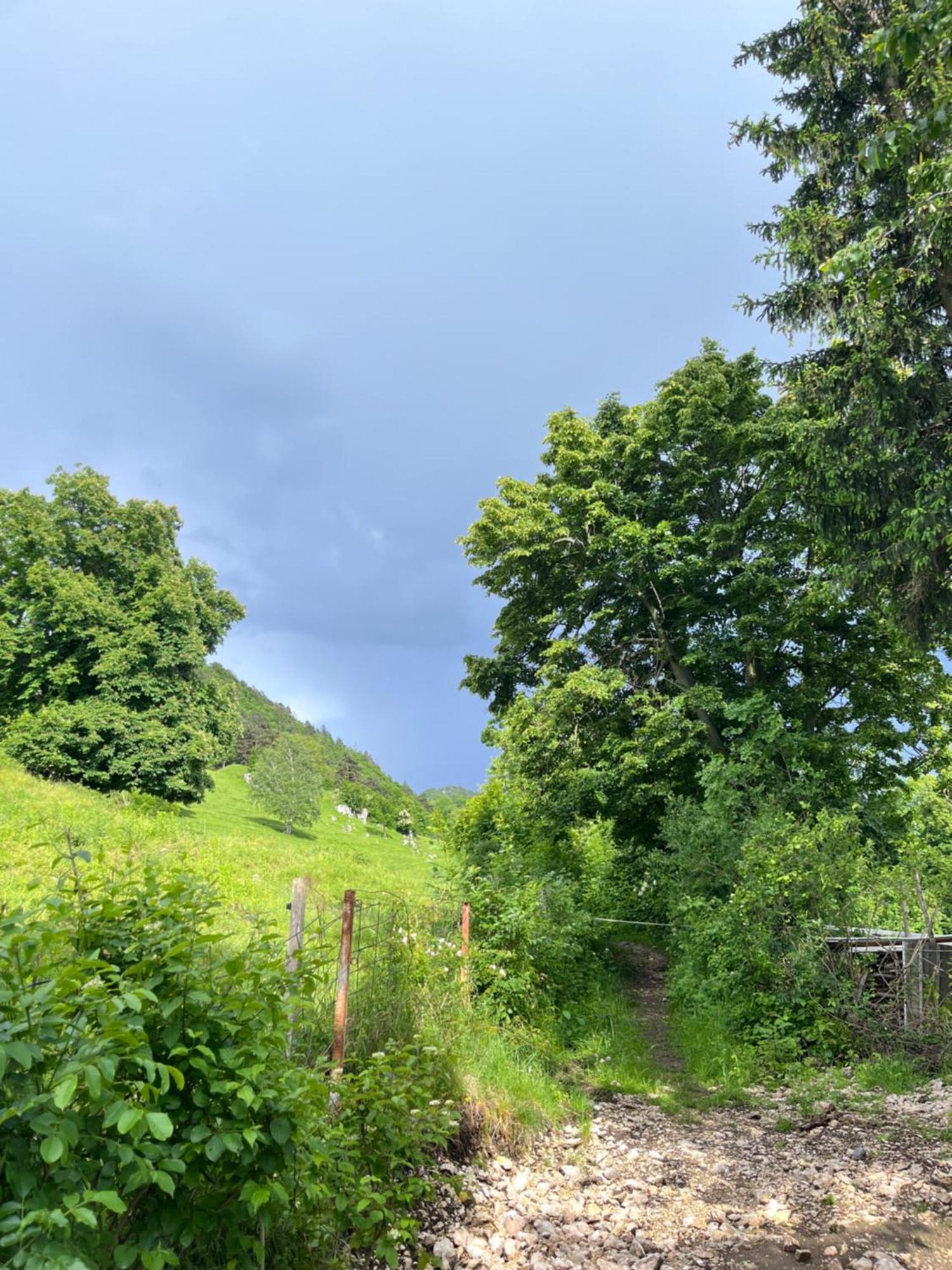Holiday home Cottage Zirovnica *
