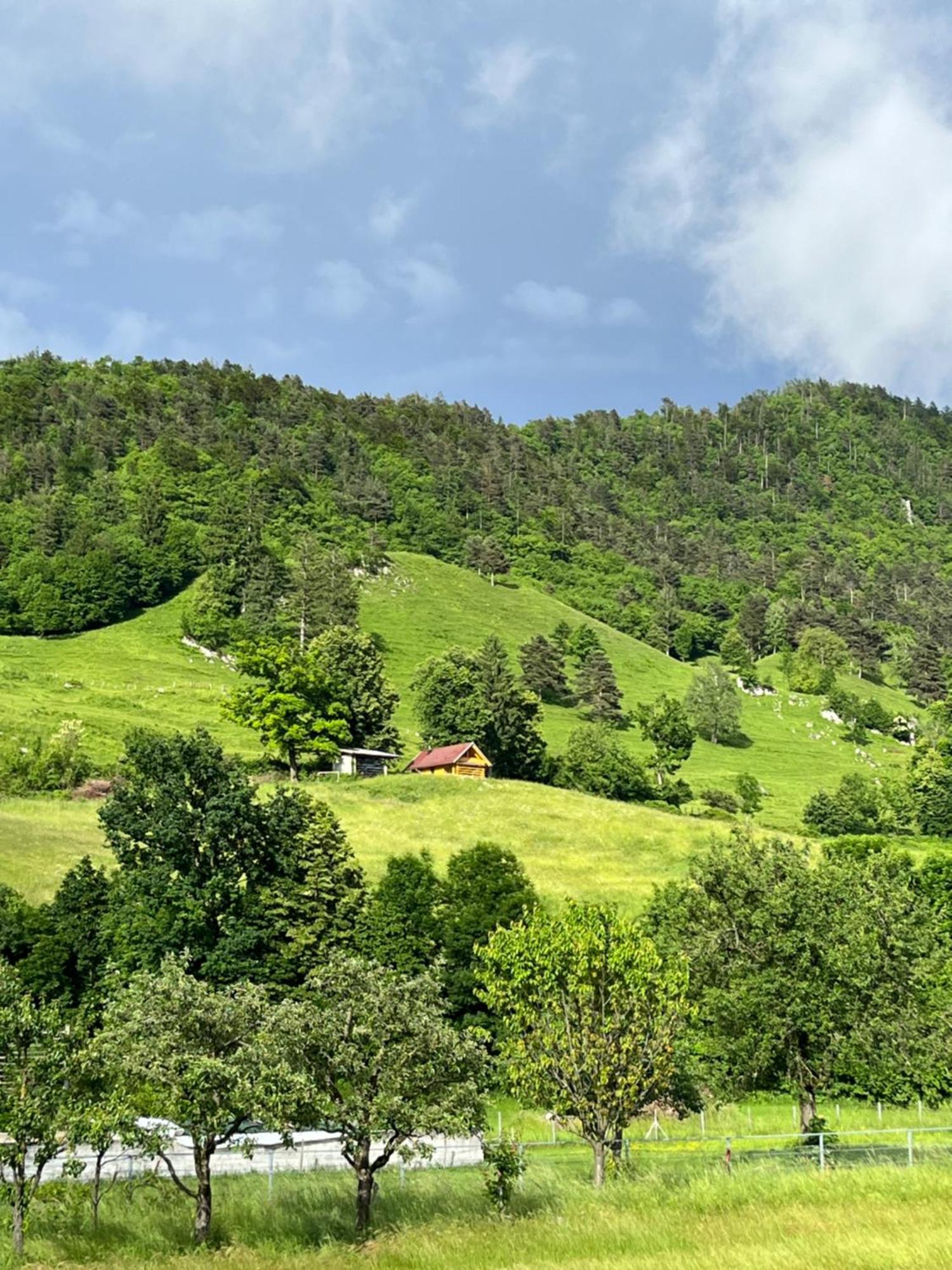 Cottage Zirovnica Zirovnica