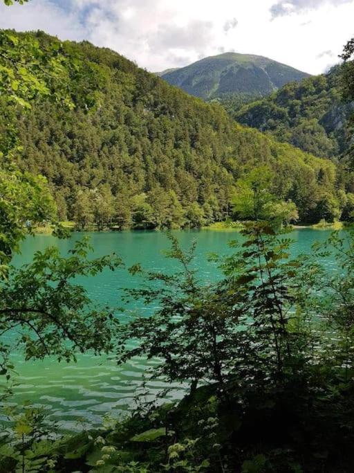 Сasa de vacaciones Cottage Zirovnica Zirovnica