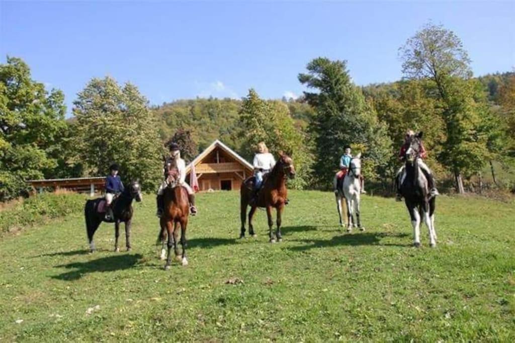 Cottage Zirovnica *